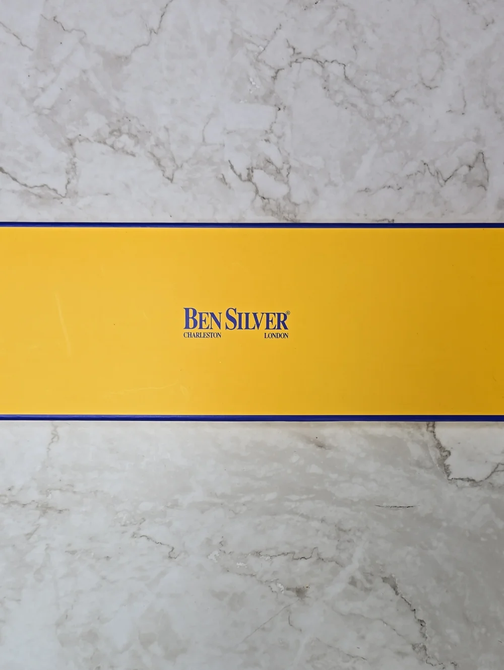 NIB Ben Silver silk tie